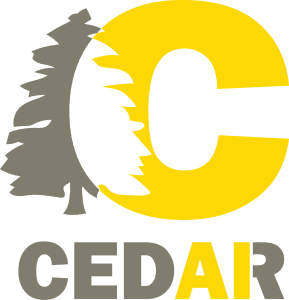 Cedar AI